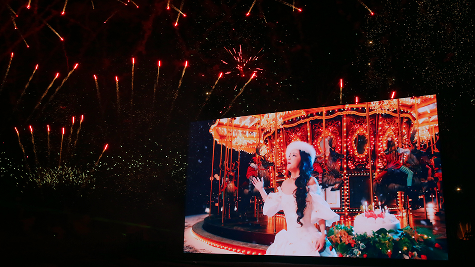 WE LOVE NAMIE HANABI SHOW